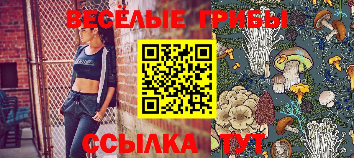 Галлюциногенные грибы Psilocybe  где можно купить   Рубцовск  Вход с VPN 
